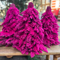 Miss Pink Xmas Tree No. 1